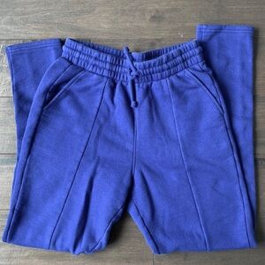 💙ARITZIA💙 blue sweatpants